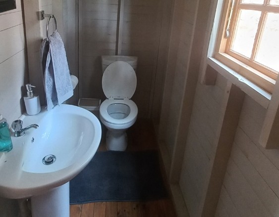 Picture5